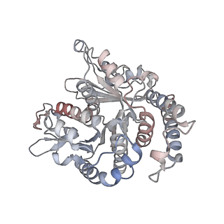29685_8g2z_TD_v1-0
48-nm doublet microtubule from Tetrahymena thermophila strain CU428