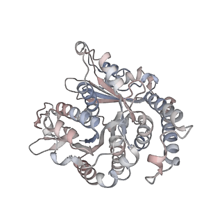 29685_8g2z_TH_v1-0
48-nm doublet microtubule from Tetrahymena thermophila strain CU428