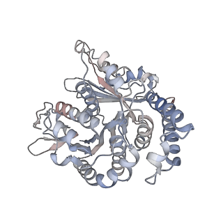 29685_8g2z_TJ_v1-0
48-nm doublet microtubule from Tetrahymena thermophila strain CU428