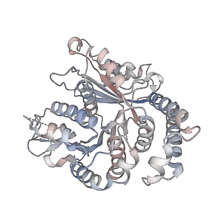 29685_8g2z_TK_v1-0
48-nm doublet microtubule from Tetrahymena thermophila strain CU428