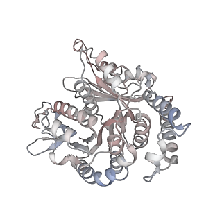 29685_8g2z_TL_v1-0
48-nm doublet microtubule from Tetrahymena thermophila strain CU428