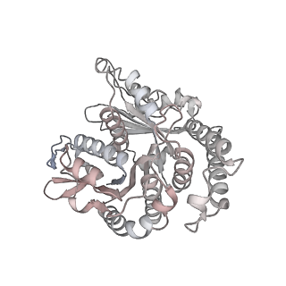 29685_8g2z_TN_v1-0
48-nm doublet microtubule from Tetrahymena thermophila strain CU428