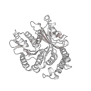 29685_8g2z_UA_v1-0
48-nm doublet microtubule from Tetrahymena thermophila strain CU428