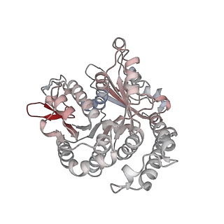 29685_8g2z_UB_v1-0
48-nm doublet microtubule from Tetrahymena thermophila strain CU428
