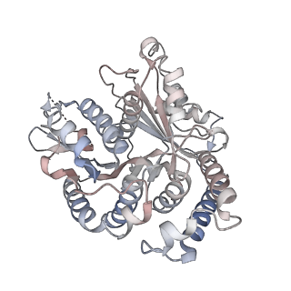 29685_8g2z_UC_v1-0
48-nm doublet microtubule from Tetrahymena thermophila strain CU428