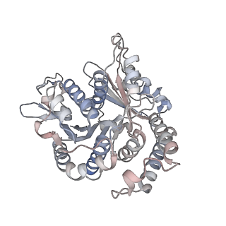 29685_8g2z_UD_v1-0
48-nm doublet microtubule from Tetrahymena thermophila strain CU428