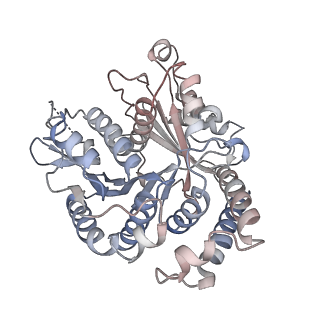 29685_8g2z_UE_v1-0
48-nm doublet microtubule from Tetrahymena thermophila strain CU428