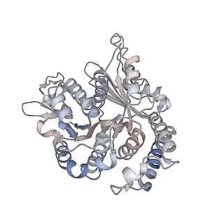 29685_8g2z_UF_v1-0
48-nm doublet microtubule from Tetrahymena thermophila strain CU428