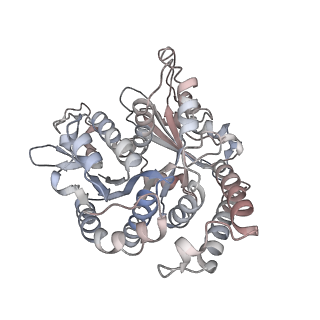 29685_8g2z_UH_v1-0
48-nm doublet microtubule from Tetrahymena thermophila strain CU428