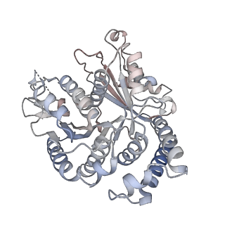 29685_8g2z_UI_v1-0
48-nm doublet microtubule from Tetrahymena thermophila strain CU428