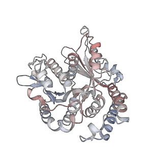 29685_8g2z_UJ_v1-0
48-nm doublet microtubule from Tetrahymena thermophila strain CU428