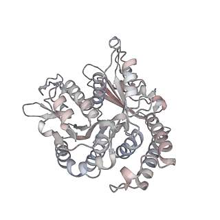 29685_8g2z_UL_v1-0
48-nm doublet microtubule from Tetrahymena thermophila strain CU428