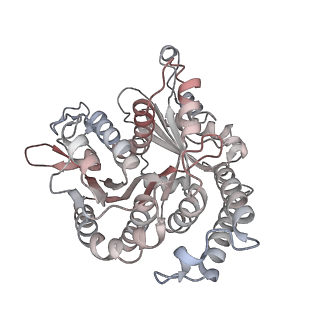 29685_8g2z_UN_v1-0
48-nm doublet microtubule from Tetrahymena thermophila strain CU428