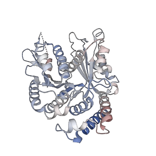 29685_8g2z_VA_v1-0
48-nm doublet microtubule from Tetrahymena thermophila strain CU428