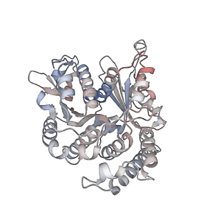 29685_8g2z_VB_v1-0
48-nm doublet microtubule from Tetrahymena thermophila strain CU428