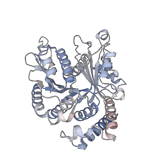 29685_8g2z_VC_v1-0
48-nm doublet microtubule from Tetrahymena thermophila strain CU428