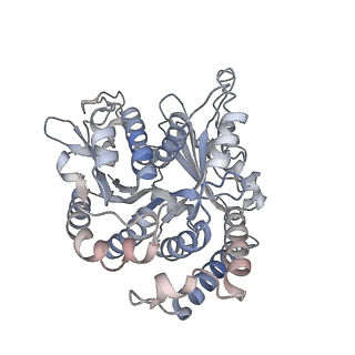 29685_8g2z_VD_v1-0
48-nm doublet microtubule from Tetrahymena thermophila strain CU428