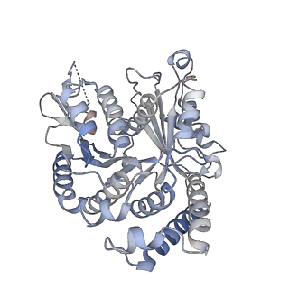 29685_8g2z_VE_v1-0
48-nm doublet microtubule from Tetrahymena thermophila strain CU428