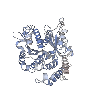 29685_8g2z_VF_v1-0
48-nm doublet microtubule from Tetrahymena thermophila strain CU428