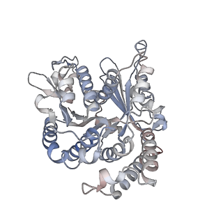 29685_8g2z_VH_v1-0
48-nm doublet microtubule from Tetrahymena thermophila strain CU428