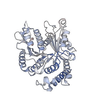 29685_8g2z_VI_v1-0
48-nm doublet microtubule from Tetrahymena thermophila strain CU428