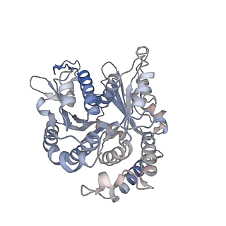 29685_8g2z_VJ_v1-0
48-nm doublet microtubule from Tetrahymena thermophila strain CU428