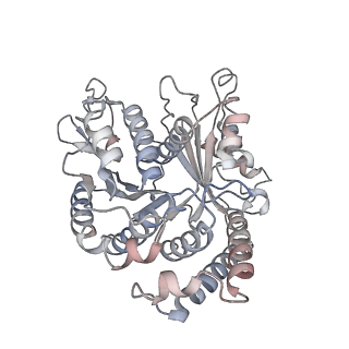 29685_8g2z_VK_v1-0
48-nm doublet microtubule from Tetrahymena thermophila strain CU428