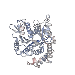 29685_8g2z_VL_v1-0
48-nm doublet microtubule from Tetrahymena thermophila strain CU428