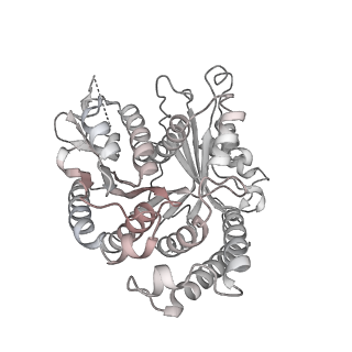 29685_8g2z_VM_v1-0
48-nm doublet microtubule from Tetrahymena thermophila strain CU428