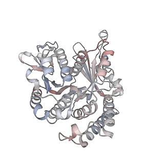 29685_8g2z_VN_v1-0
48-nm doublet microtubule from Tetrahymena thermophila strain CU428