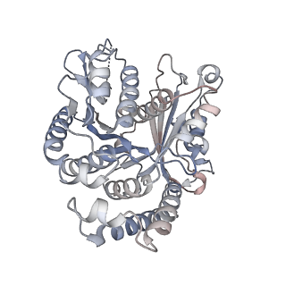 29685_8g2z_WA_v1-0
48-nm doublet microtubule from Tetrahymena thermophila strain CU428