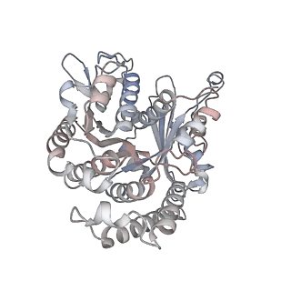 29685_8g2z_WB_v1-0
48-nm doublet microtubule from Tetrahymena thermophila strain CU428