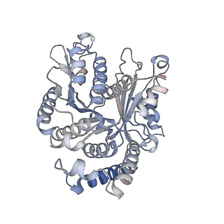 29685_8g2z_WC_v1-0
48-nm doublet microtubule from Tetrahymena thermophila strain CU428