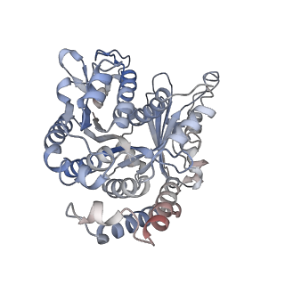 29685_8g2z_WF_v1-0
48-nm doublet microtubule from Tetrahymena thermophila strain CU428