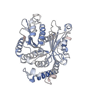 29685_8g2z_WG_v1-0
48-nm doublet microtubule from Tetrahymena thermophila strain CU428