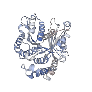 29685_8g2z_WI_v1-0
48-nm doublet microtubule from Tetrahymena thermophila strain CU428