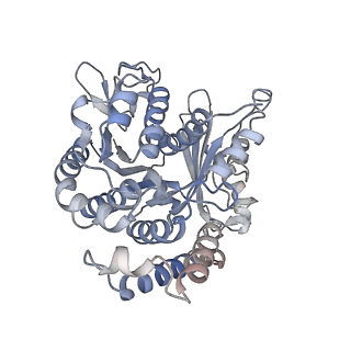 29685_8g2z_WJ_v1-0
48-nm doublet microtubule from Tetrahymena thermophila strain CU428