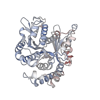 29685_8g2z_WL_v1-0
48-nm doublet microtubule from Tetrahymena thermophila strain CU428
