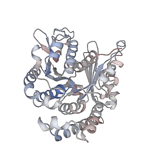 29685_8g2z_WN_v1-0
48-nm doublet microtubule from Tetrahymena thermophila strain CU428