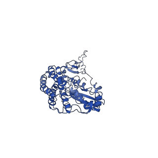 4345_6g2j_D_v1-2
Mouse mitochondrial complex I in the active state