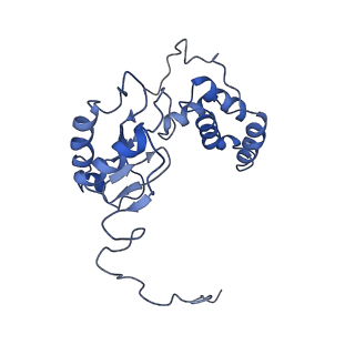 4345_6g2j_E_v1-2
Mouse mitochondrial complex I in the active state