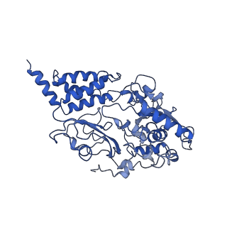 4345_6g2j_F_v1-2
Mouse mitochondrial complex I in the active state