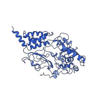 4345_6g2j_F_v2-0
Mouse mitochondrial complex I in the active state