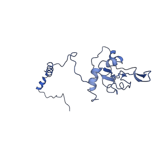 4345_6g2j_I_v1-2
Mouse mitochondrial complex I in the active state