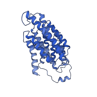 4345_6g2j_N_v1-2
Mouse mitochondrial complex I in the active state