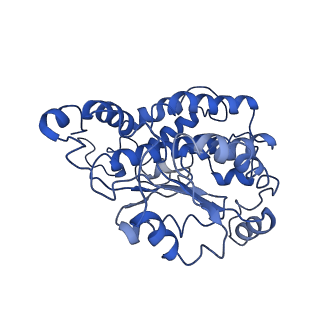 4345_6g2j_O_v1-2
Mouse mitochondrial complex I in the active state