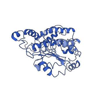 4345_6g2j_O_v2-0
Mouse mitochondrial complex I in the active state
