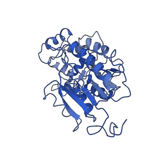 4345_6g2j_P_v1-2
Mouse mitochondrial complex I in the active state