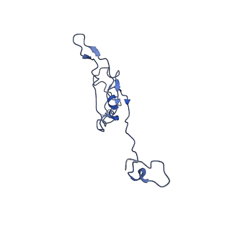 4345_6g2j_Q_v1-2
Mouse mitochondrial complex I in the active state