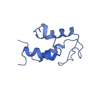 4345_6g2j_U_v1-2
Mouse mitochondrial complex I in the active state